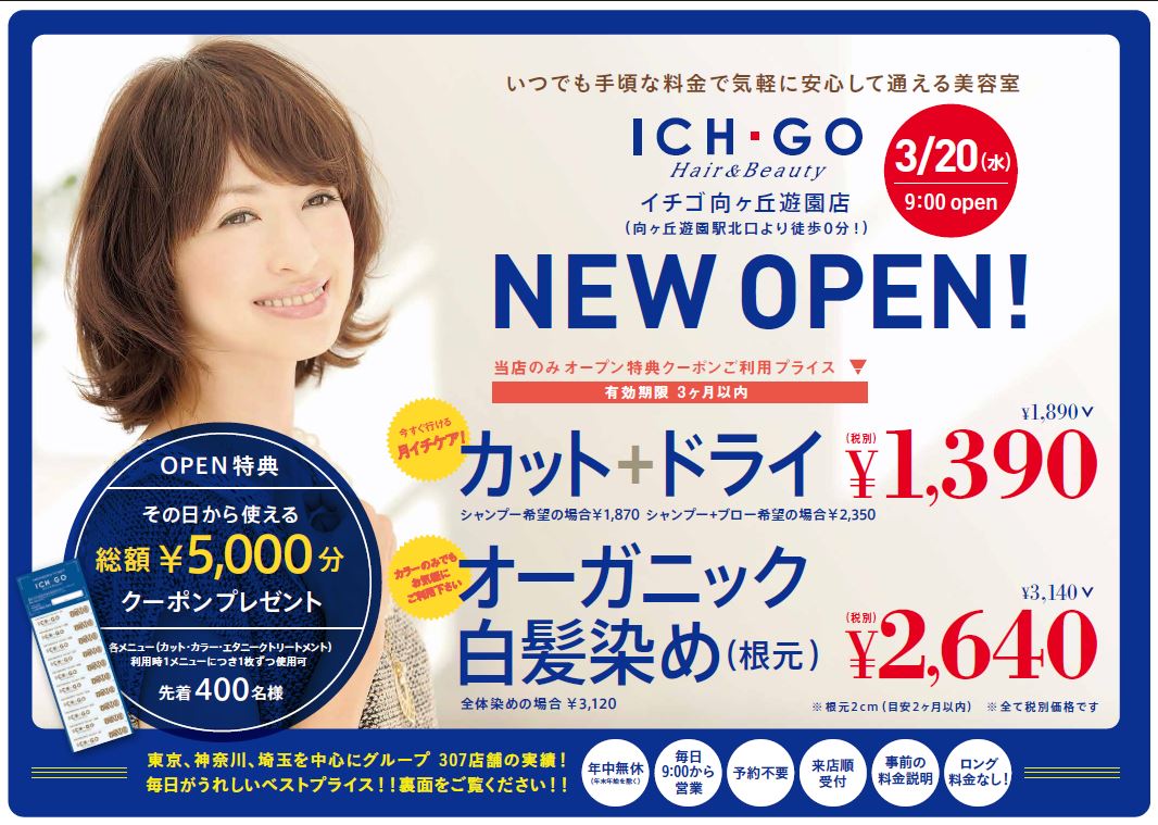 ICH・GO向ヶ丘　チラシ